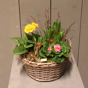 Korb Frühlingserwachen