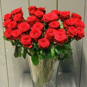 Rose Rot