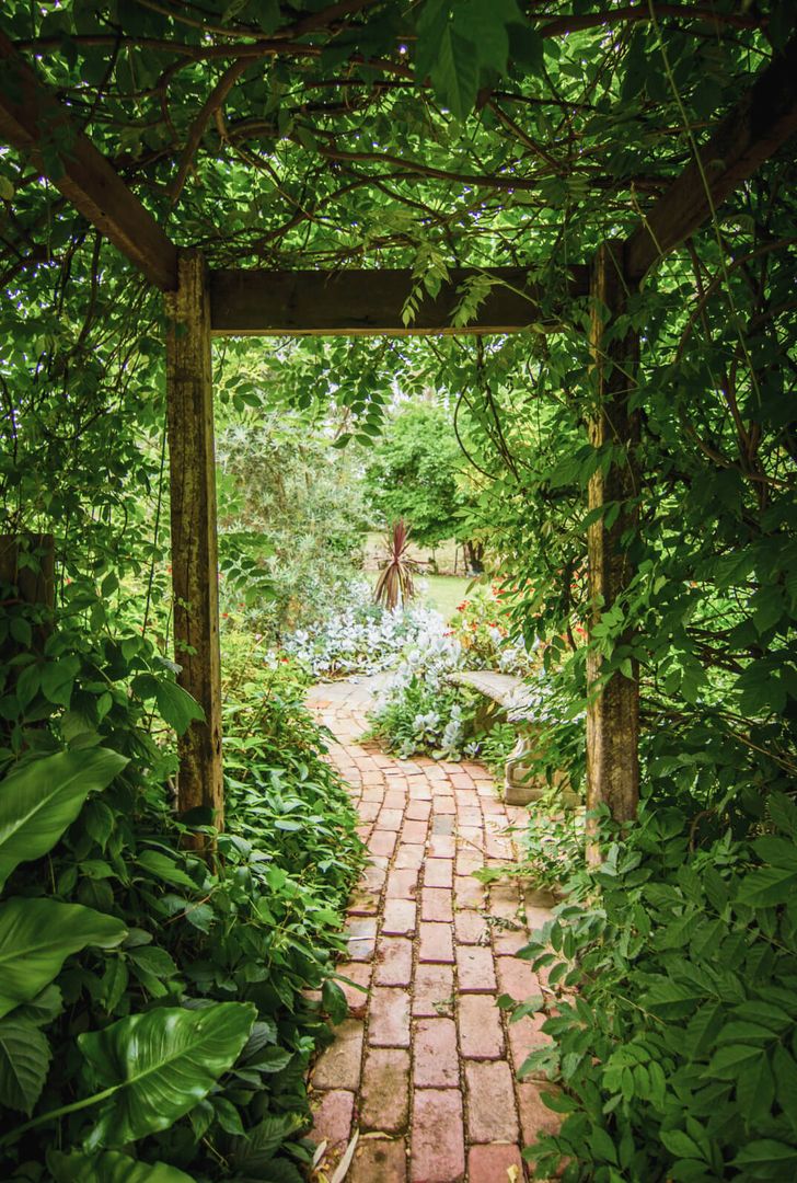Blick in einen grünen Garten