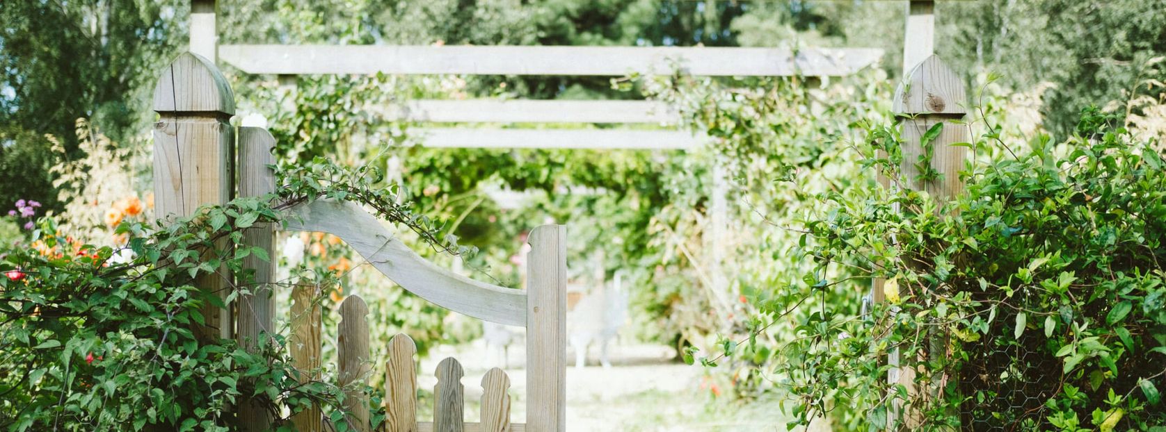 garten-mit-weissem-zaun-555_454